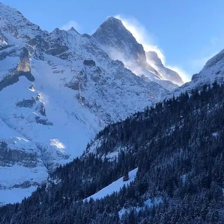 Chaletswissalp Topof By Interhome Holiday home Grindelwald